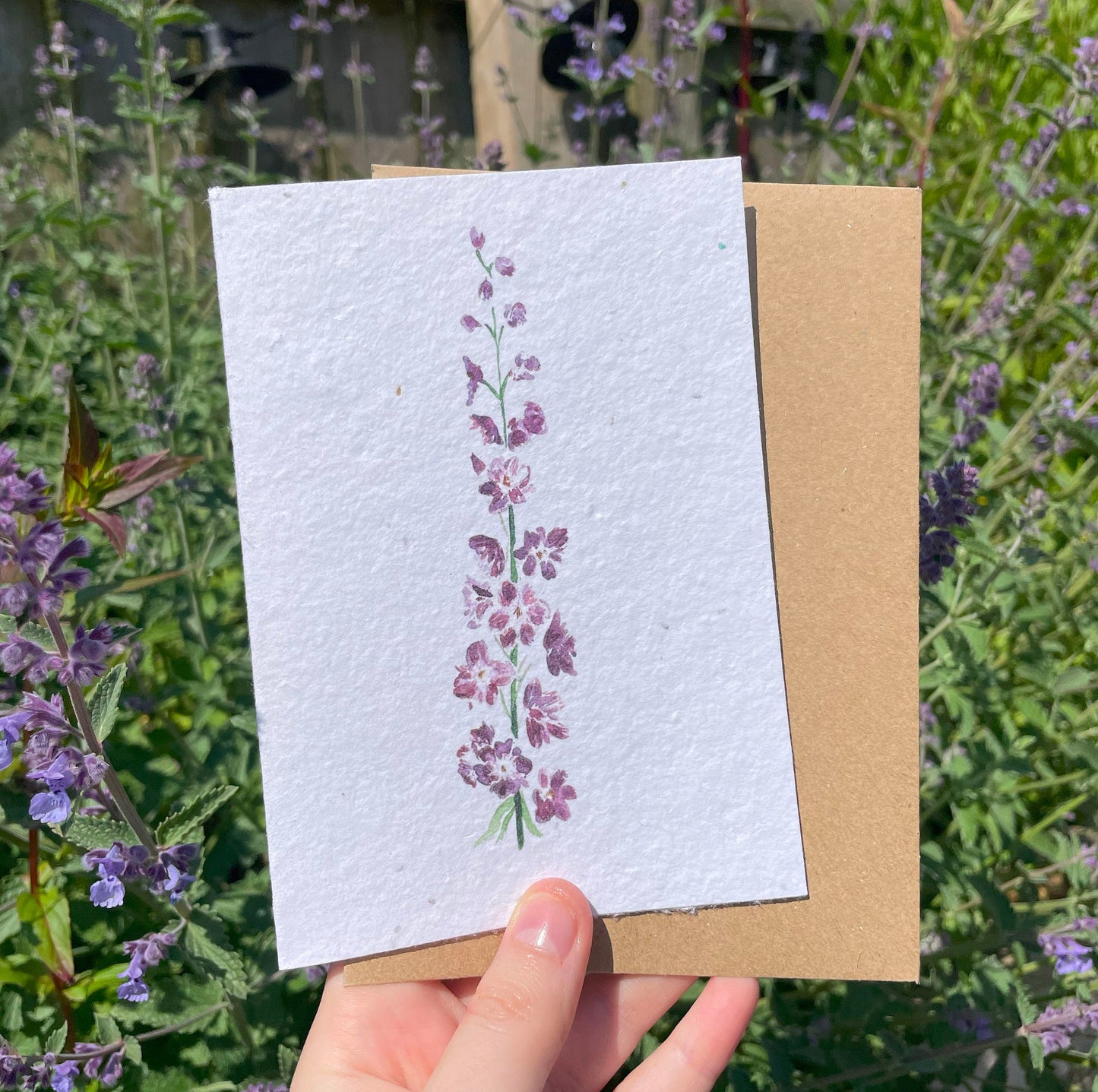 Delphinium Seed Paper Card