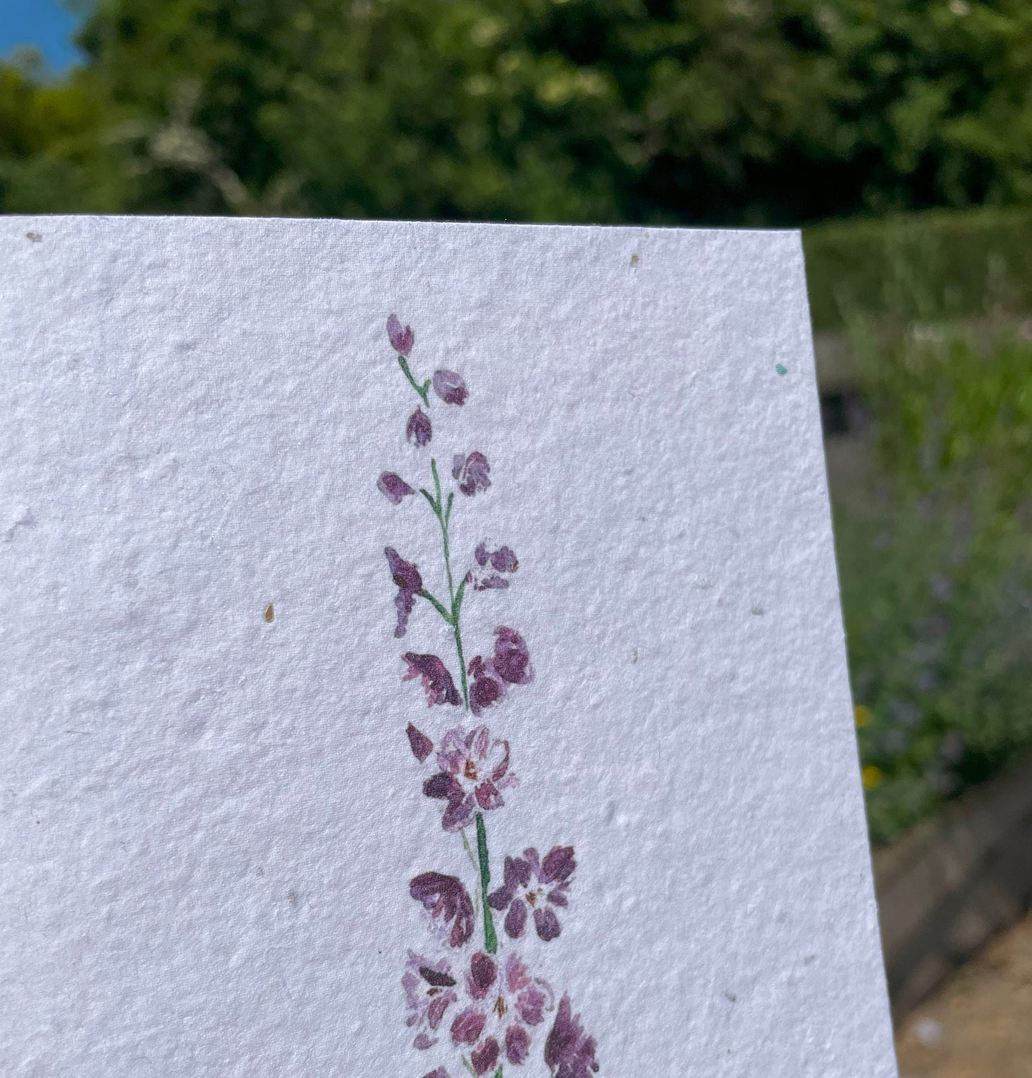 Delphinium Seed Paper Card