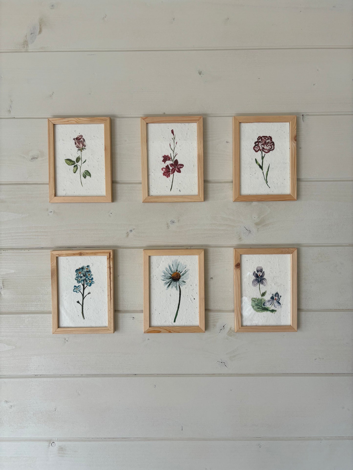 Carnation Seed Paper Card