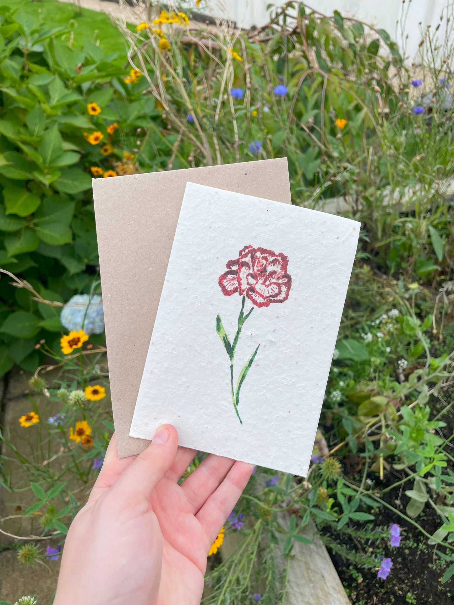 Carnation Seed Paper Card