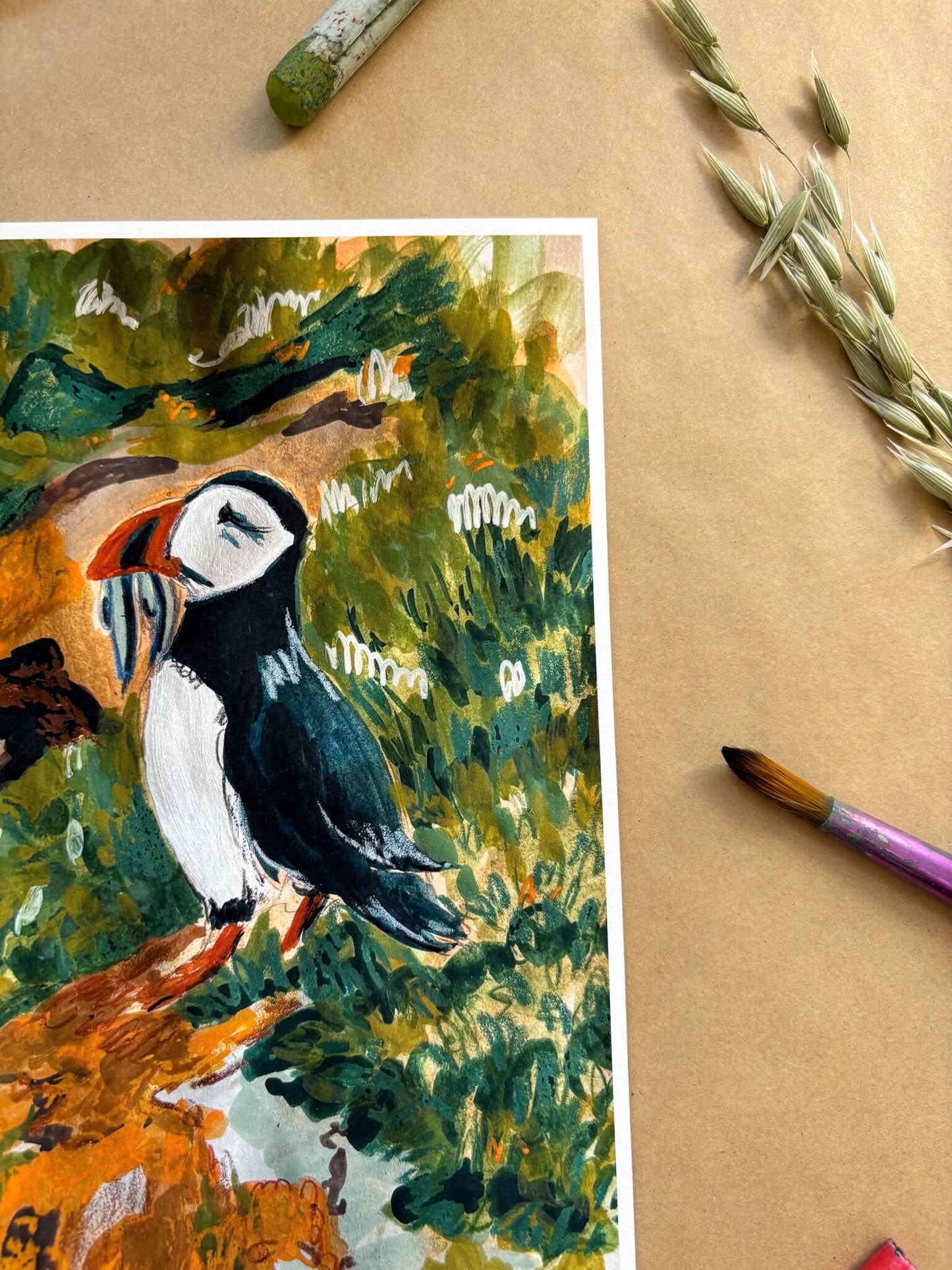 Puffin Art Print