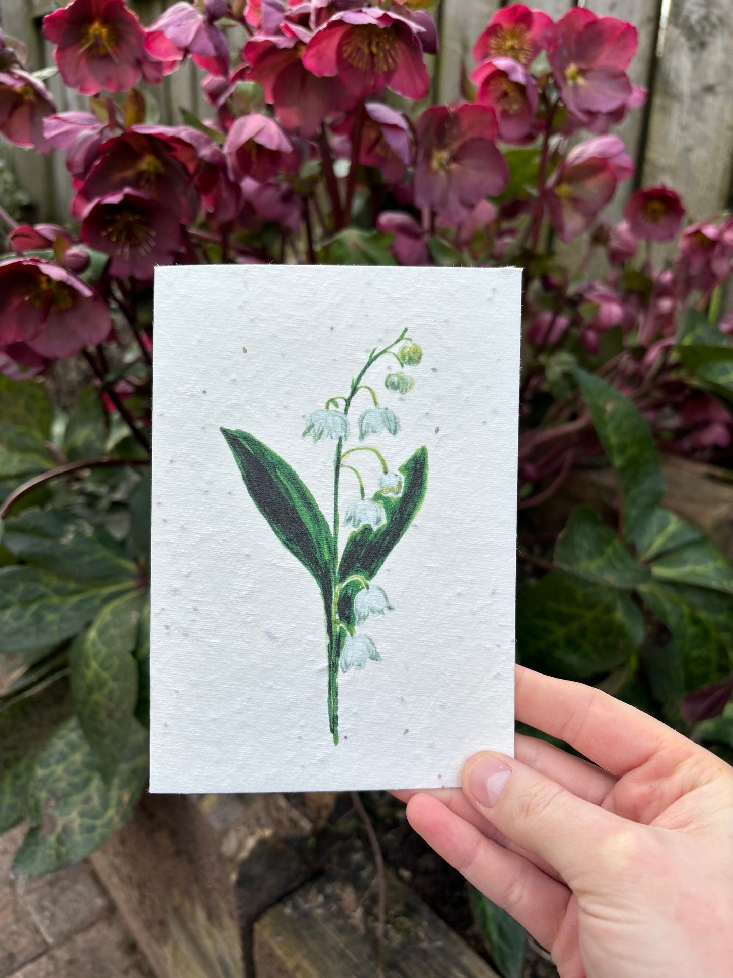 Lily of the Valley Seed Paper Card