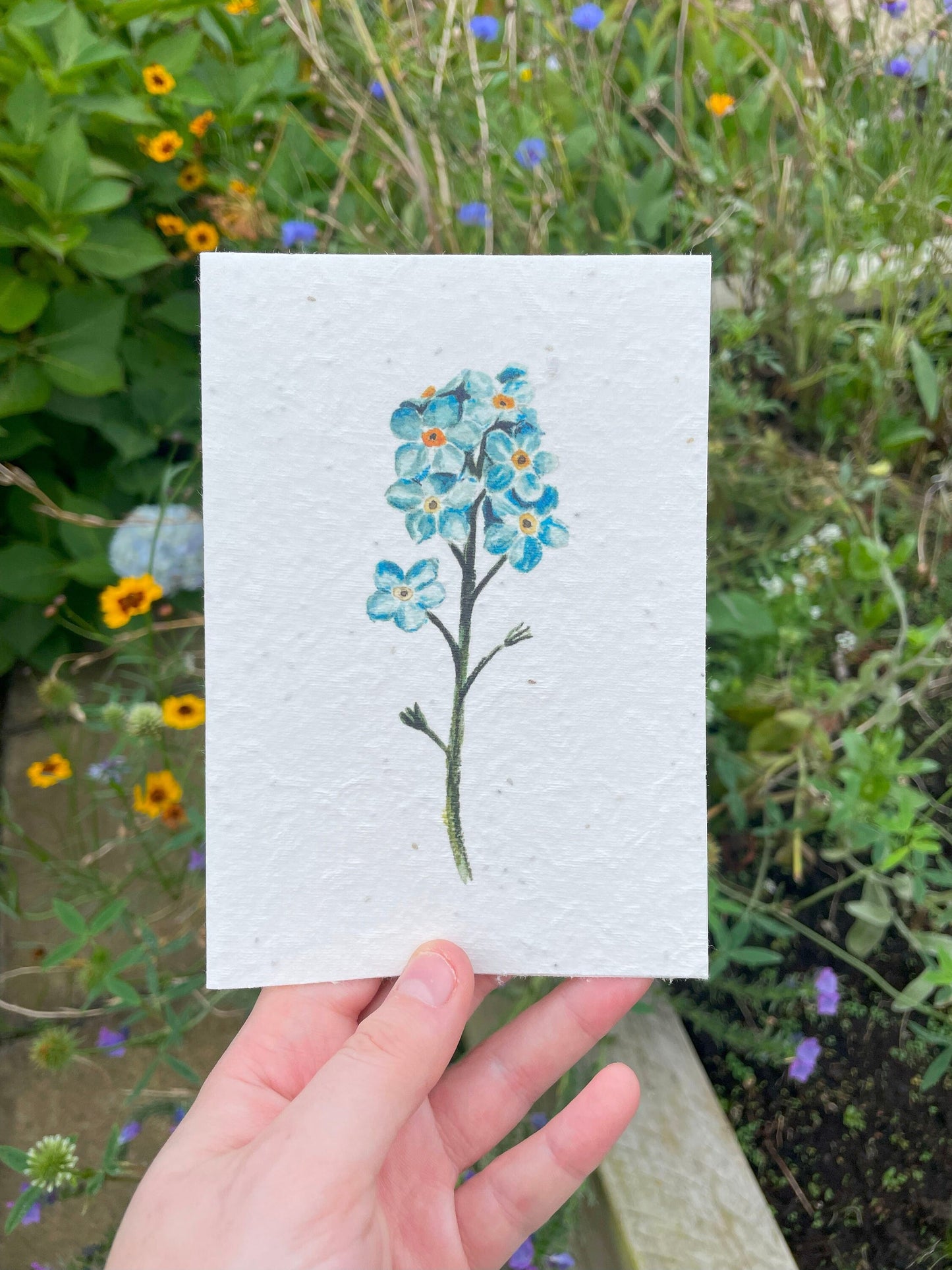 Forget me not Seed Paper Card