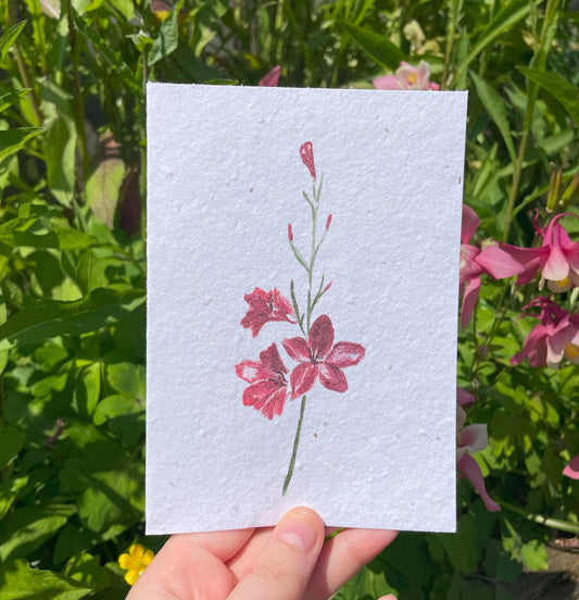 Gladiolus Seed Paper Card