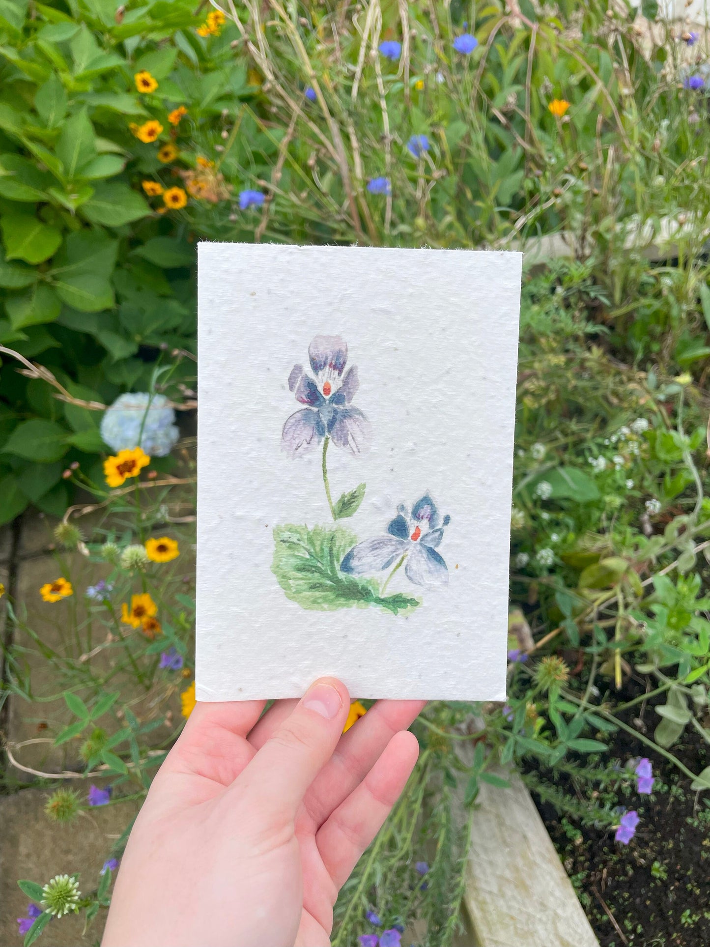 Violets Seed Paper Card