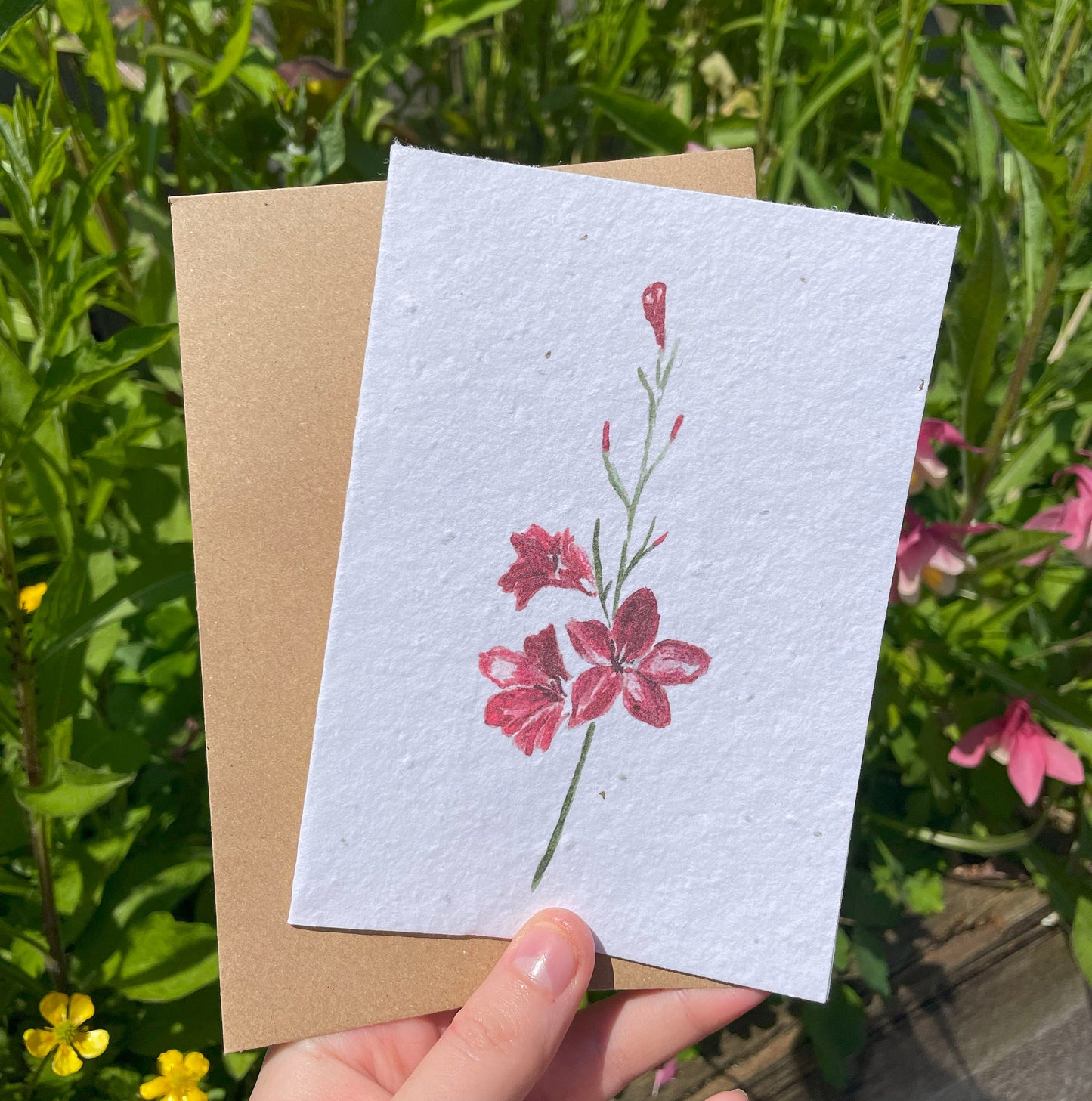 Gladiolus Seed Paper Card