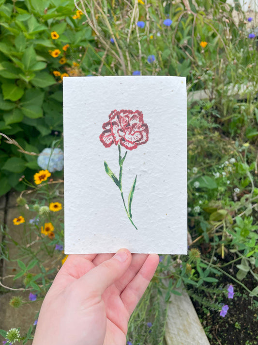 Carnation Seed Paper Card