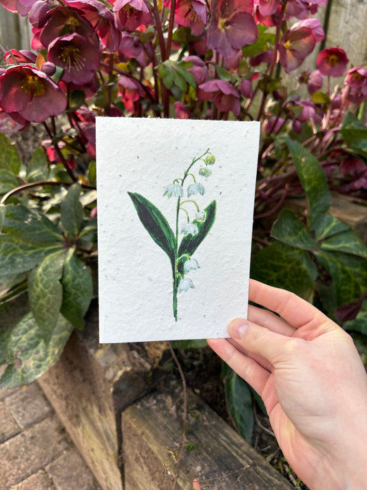 Lily of the Valley Seed Paper Card