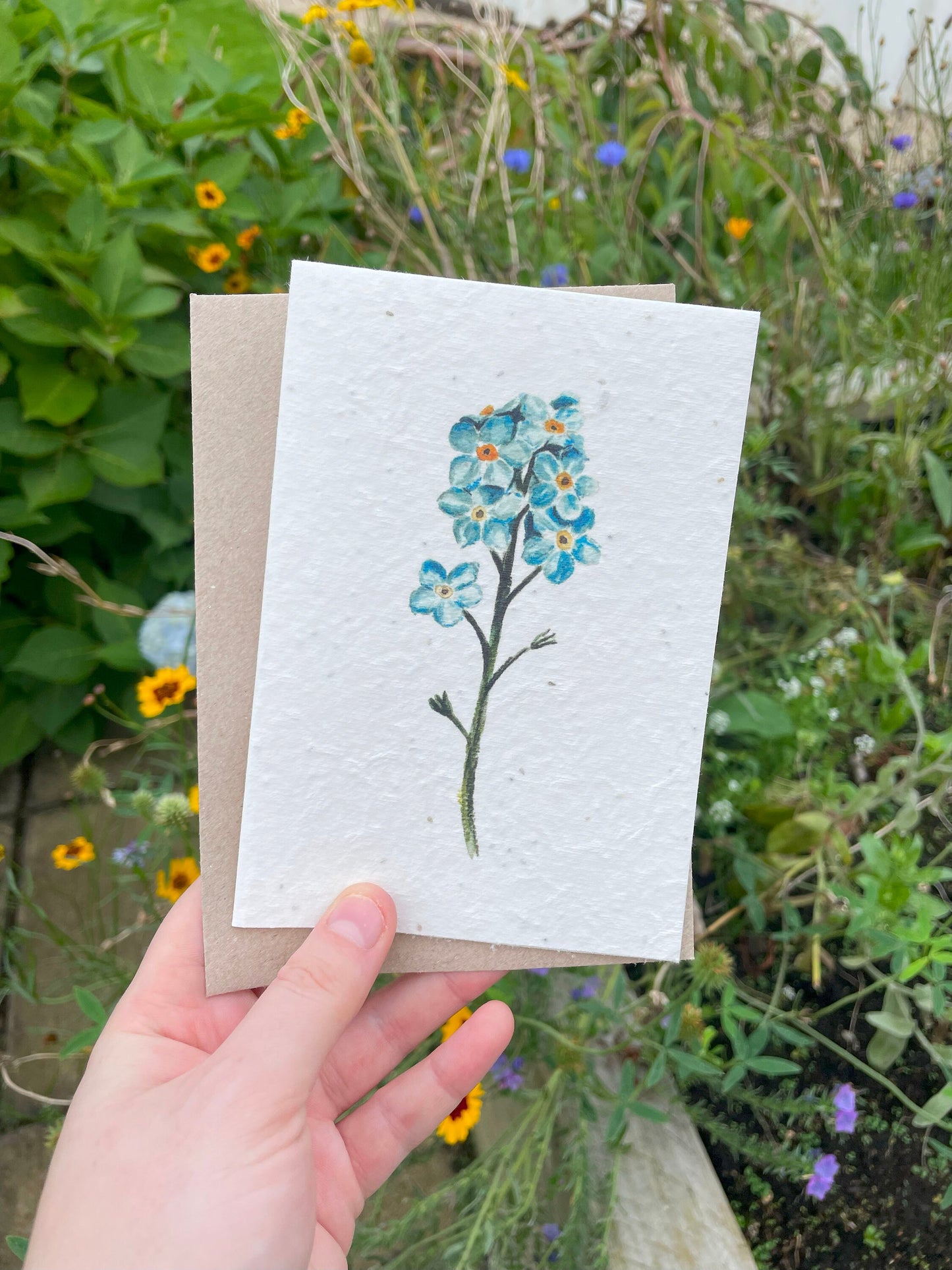 Forget me not Seed Paper Card