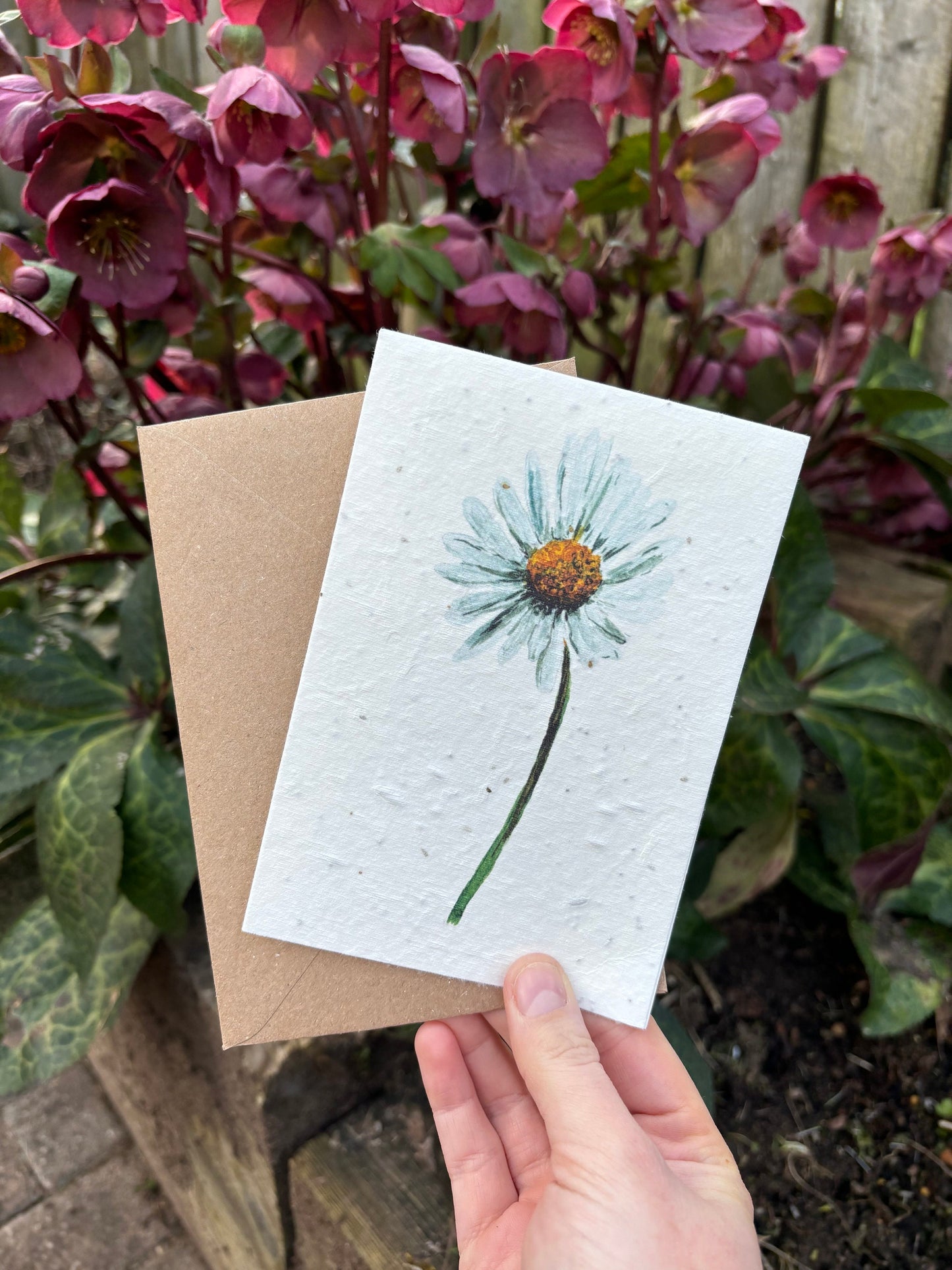 Daisy Seed Paper Card