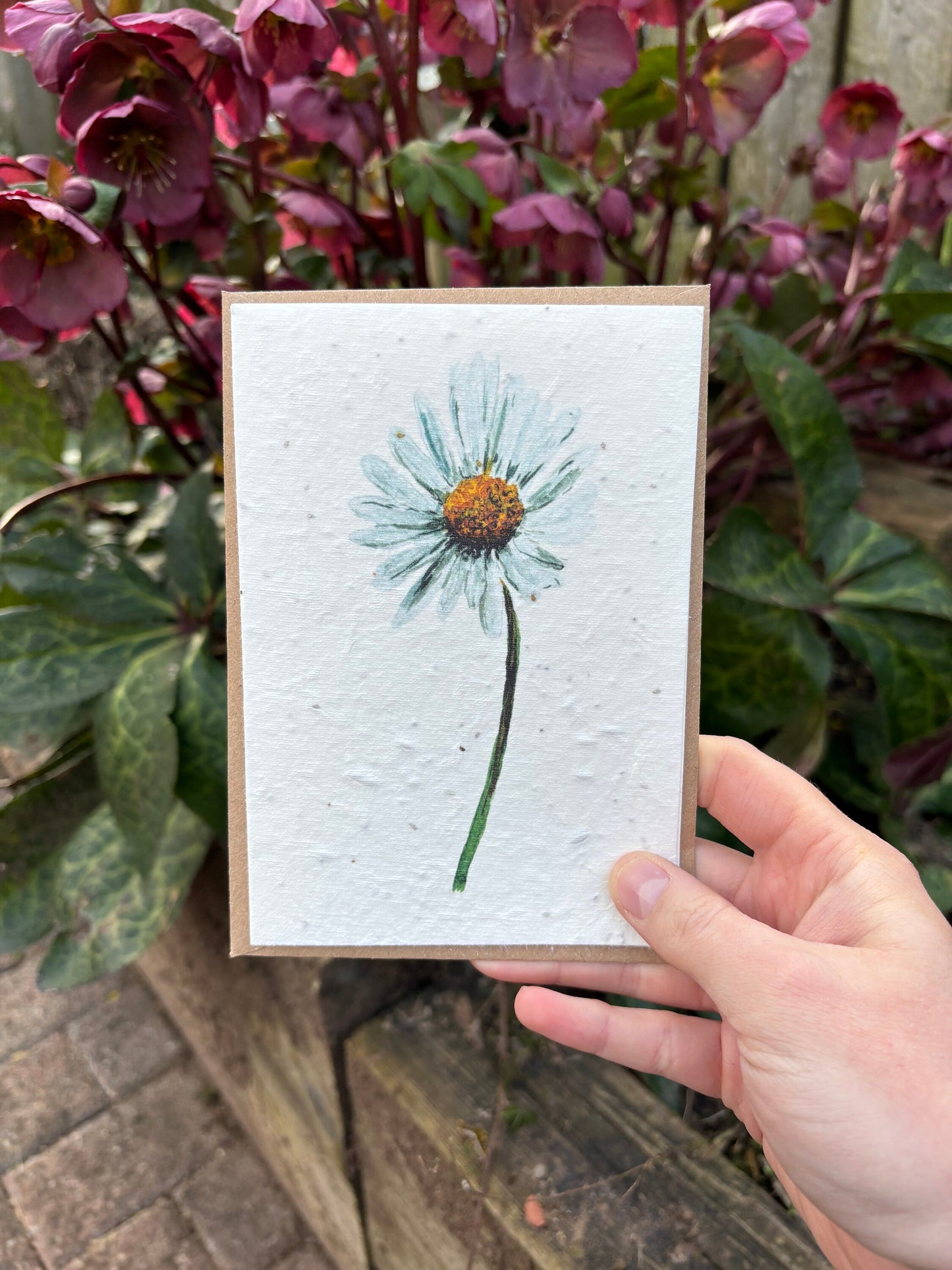 Daisy Seed Paper Card