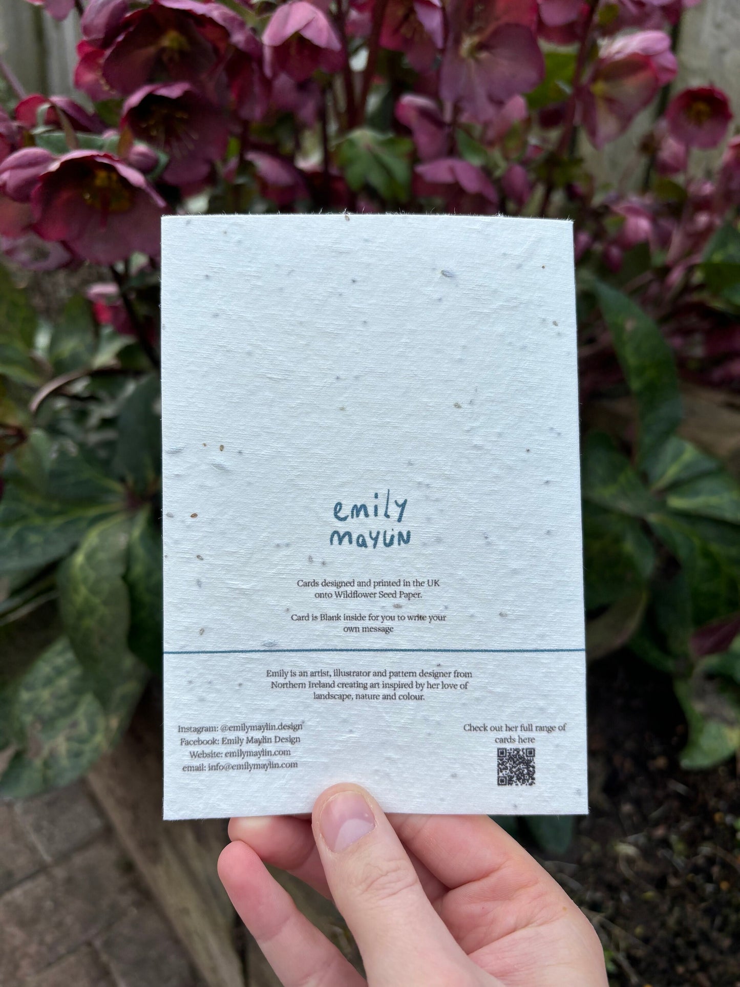 Daisy Seed Paper Card